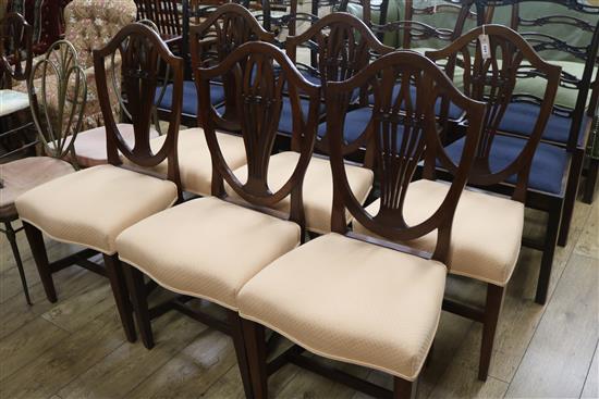 Six shield back dining chairs